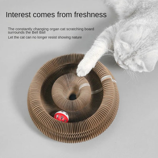 Whisker Wonderland Cat Scratcher