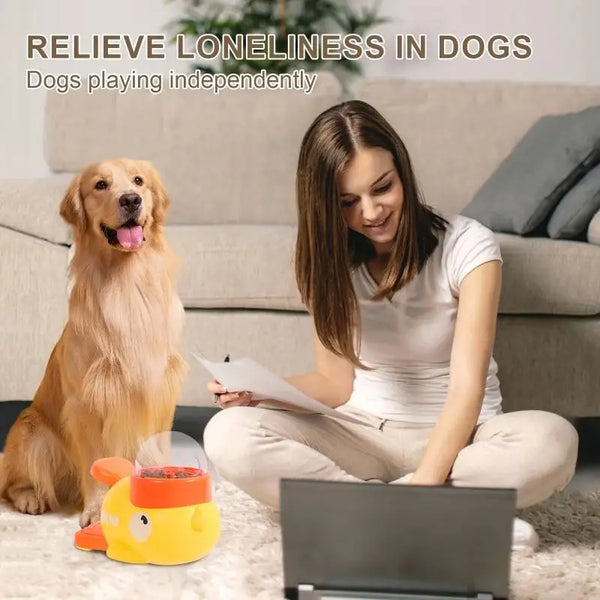 Duck Delight Dog Puzzle Toy